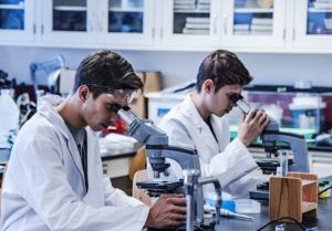 Laboratory research by two male scientists in laboratory using a microscope and laboratory glassware for scientific research