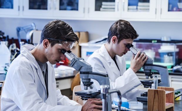 Laboratory research by two male scientists in laboratory using a microscope and laboratory glassware for scientific research