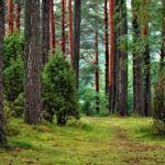 medio ambiente- climaticamente neutro- UE