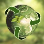 medio ambiente /economía circular