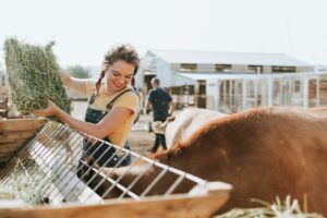 Chica con trenzas y sonriente  da de comer a los animales en una granja al aire libre