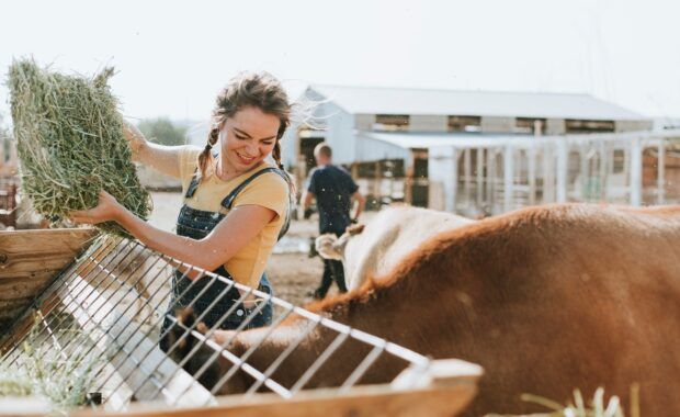 Chica con trenzas y sonriente  da de comer a los animales en una granja al aire libre