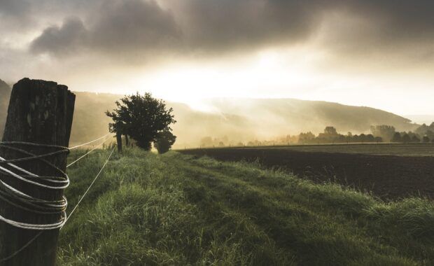 campo, agricultura,