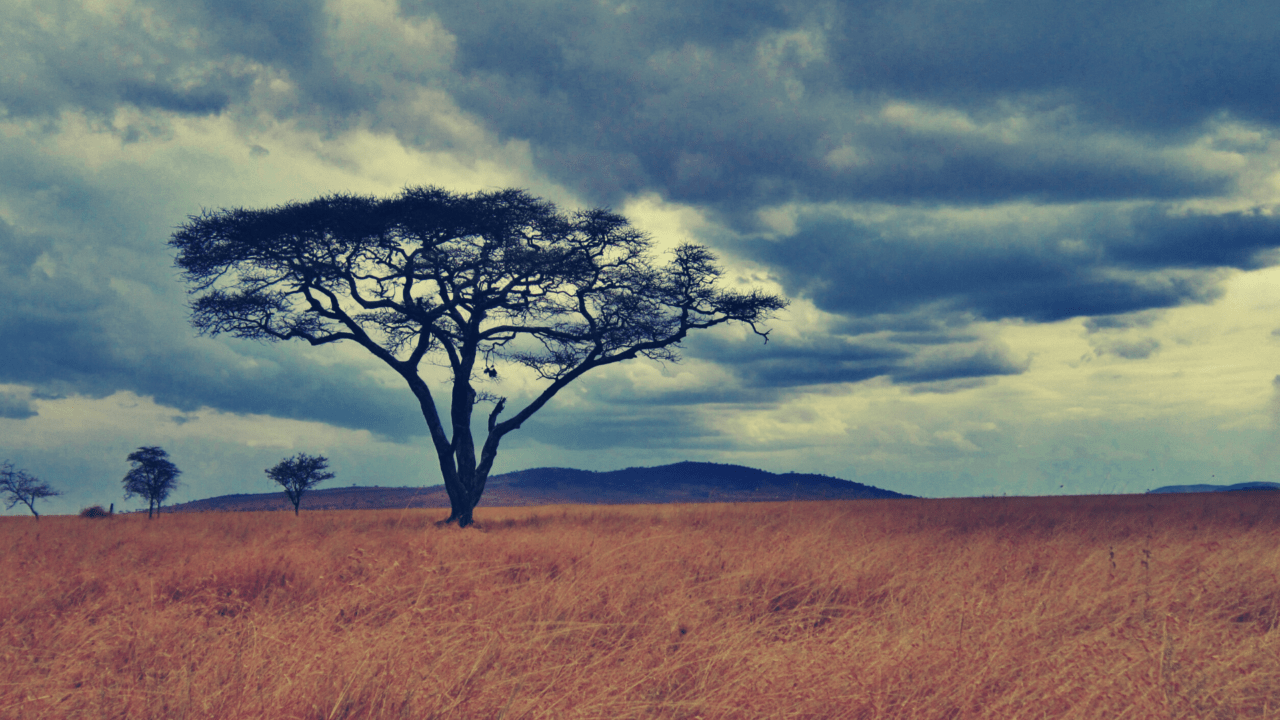 AFRICA