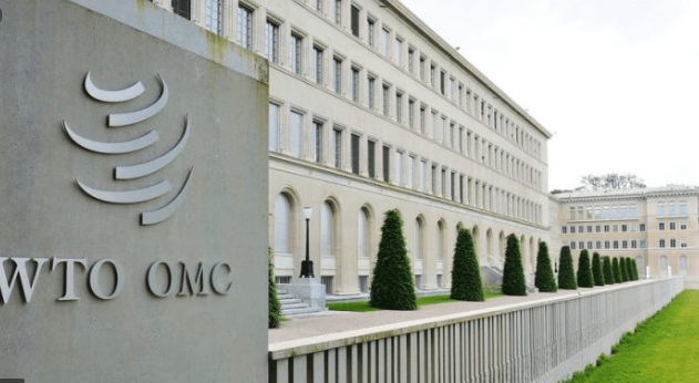 Prácticas remuneradas en la Organización Mundial del Comercio (OMC) en  Ginebra | CDE Almería - Centro de Documentación Europea - Universidad de  Almería