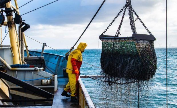 barco de pesca