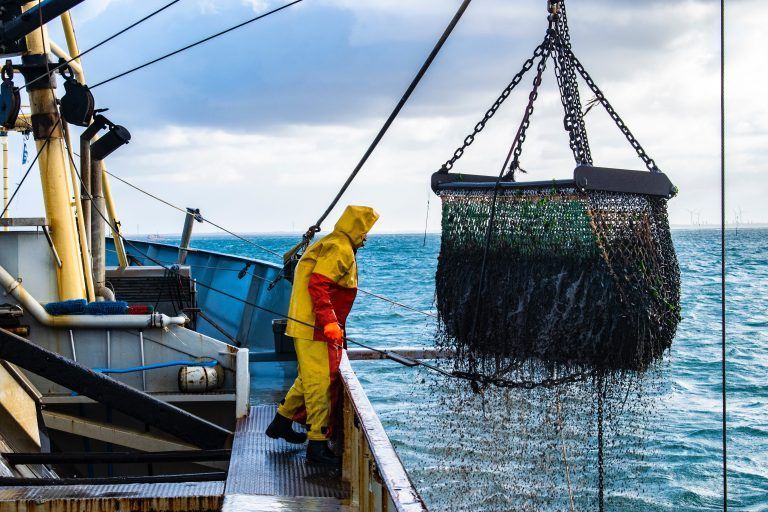 La pesca marina en el mar Mediterráneo - Ecología Política