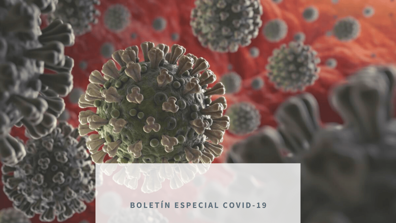 Participate in our special bulletin on Covid19 CDE Almería Centro