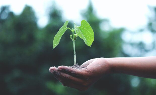 clima-medio ambiente-neutro