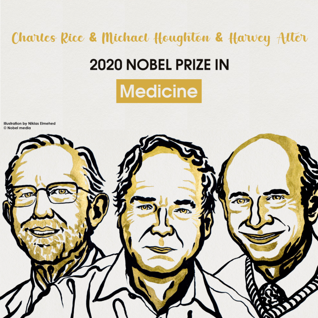 Medicine Nobel , Harvey J Alter, Michael Houghton , Charles M Rice