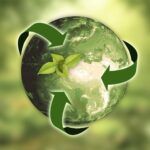 Medio ambiente / Pacto Verde