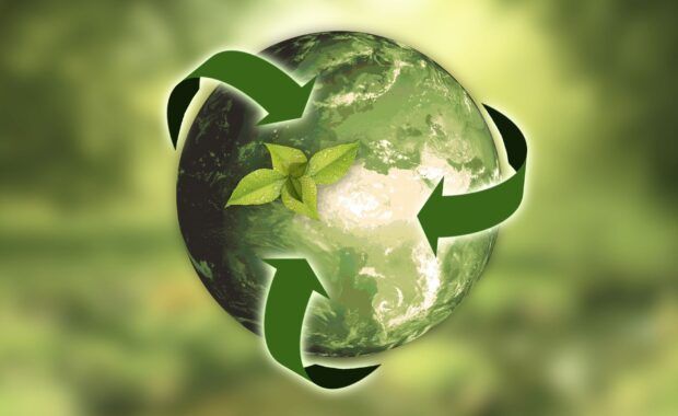 Medio ambiente / Pacto Verde