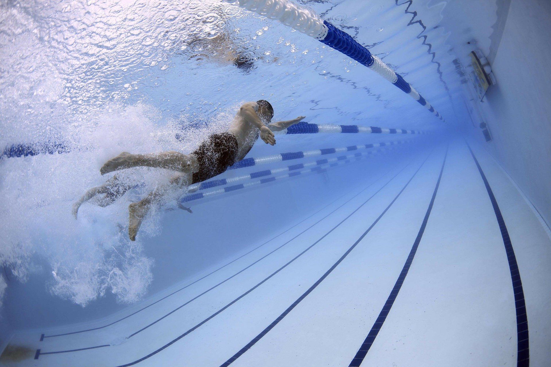 Postdoct position in Physiological Responses and Human Movement Analysis in Top Elite Swimming