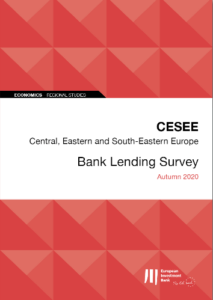 CESEE bank lending survey
