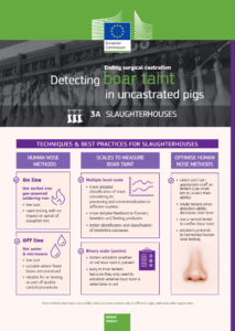 Detecting boar taint in uncastrated pigs