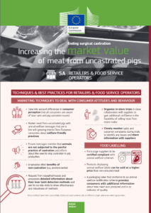 Increasing the market value of meat from uncastrated pigs