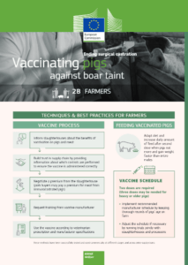 Vaccinating pigs against boar taint