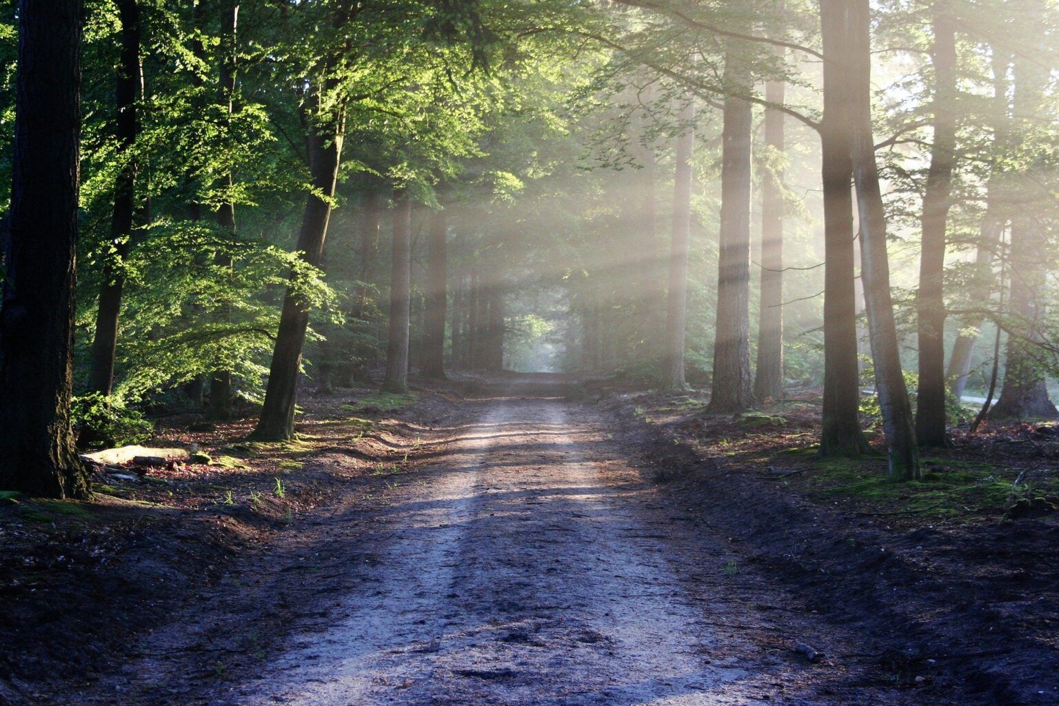 H2020: Fostering regulatory science to address combined ...