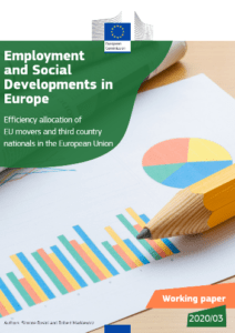 Efficiency allocation of EU movers and third country nationals in the European Union