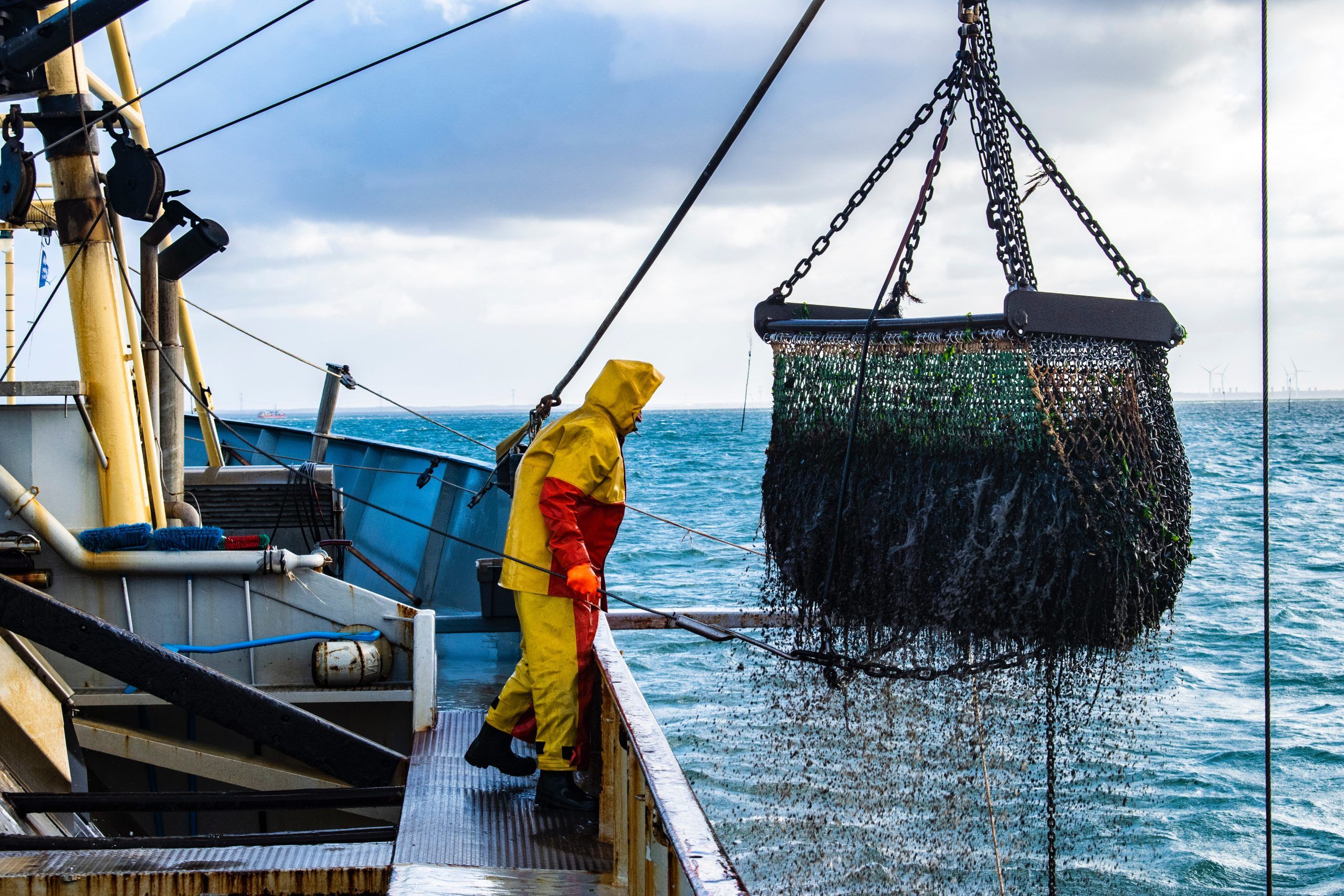 Revisión de la gestión pesquera: menos sobrepesca, y más esfuerzos para proteger los recursos marinos