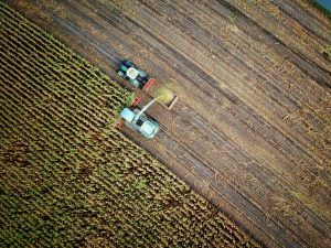 vista aérea de un campo de cultivo