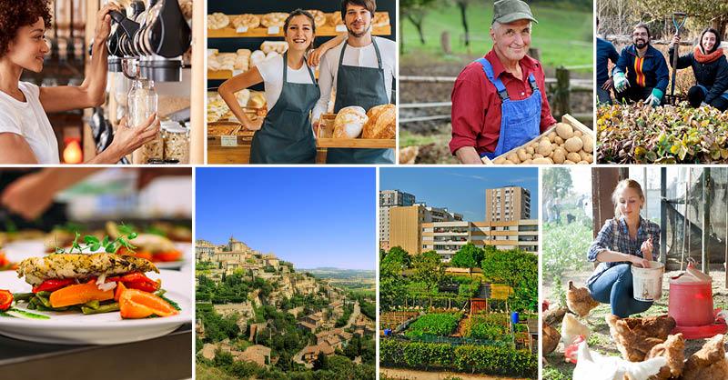 premios agricultura orgánica