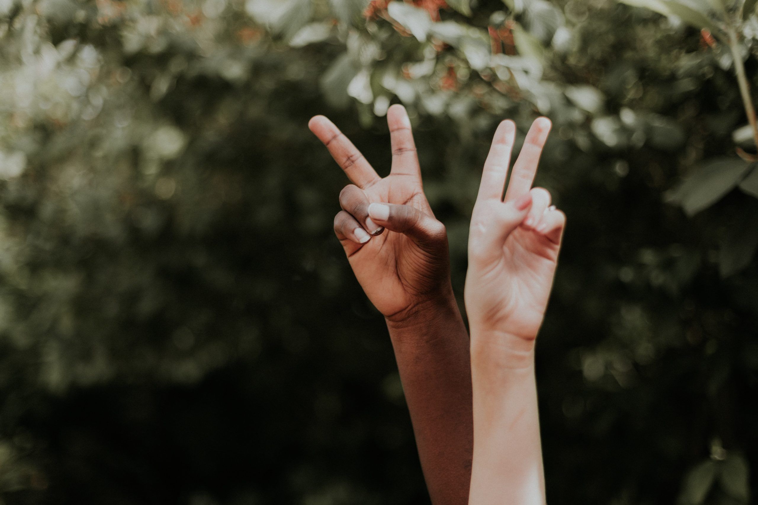 Dos manos haciendo el símbolo de la paz