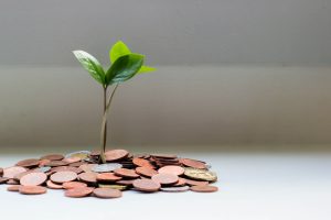 Montón de monedas del que surge un pequeño brote