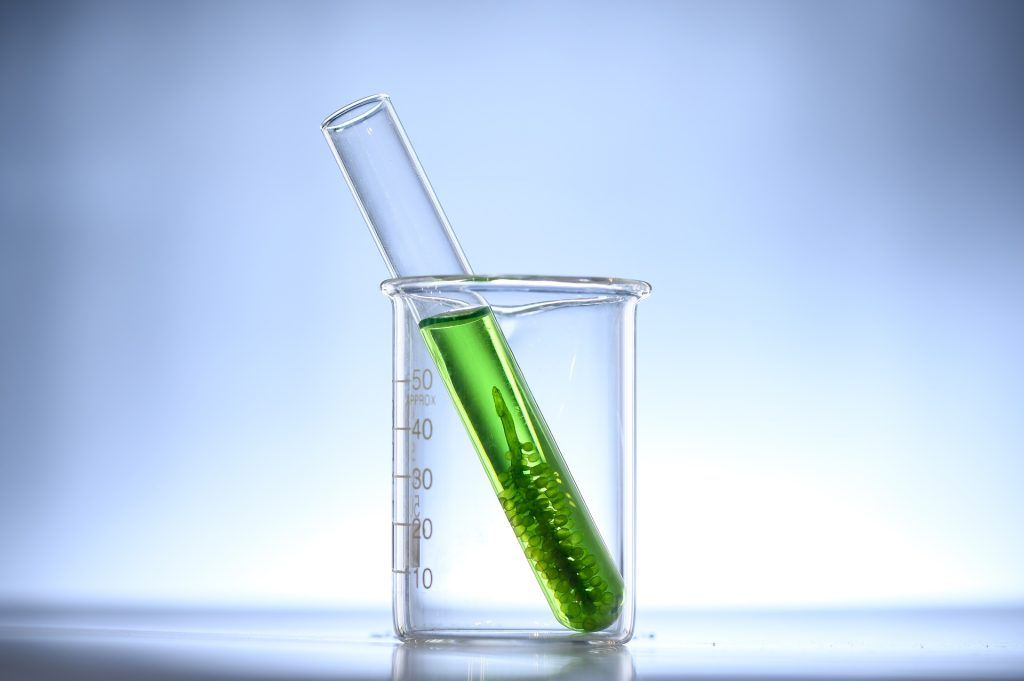 Solución verde con algas en un tubo de ensayo dentro, a su vez, de un vaso de precipitado