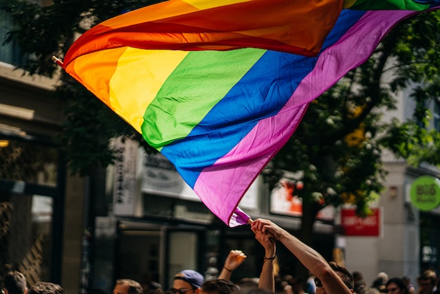 LGBTIQ+ Flag