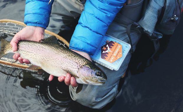 manos sujetan pescado