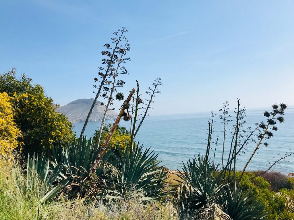 playa Almería