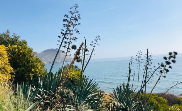 playa Almería