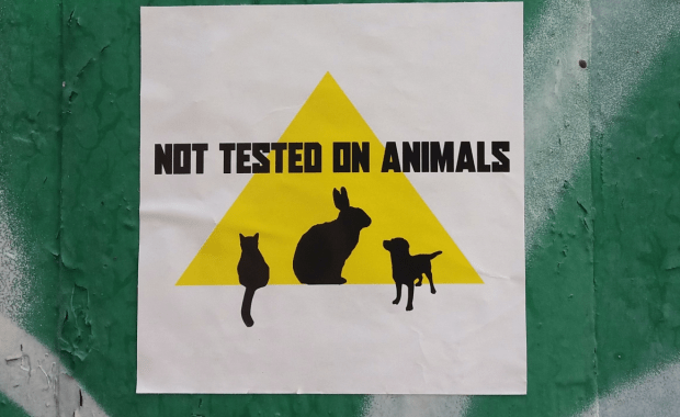 no tested on animal