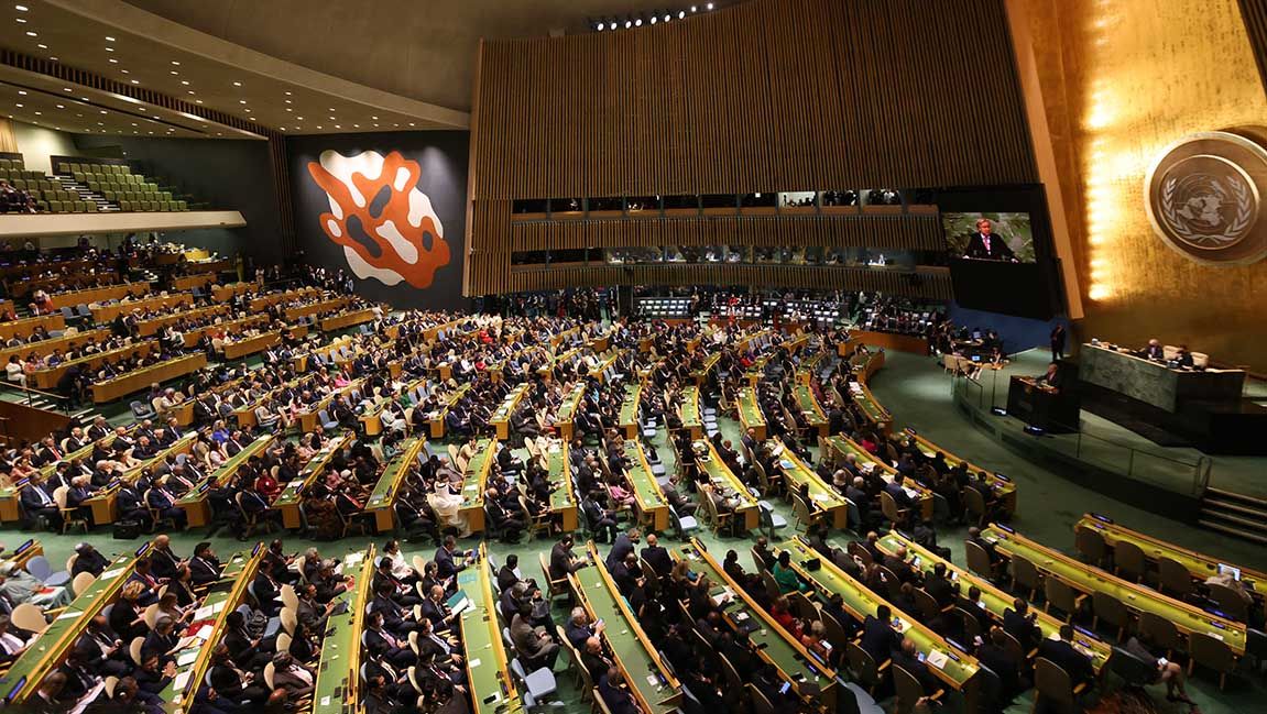 Asamblea General Naciones Unidas (ONU)